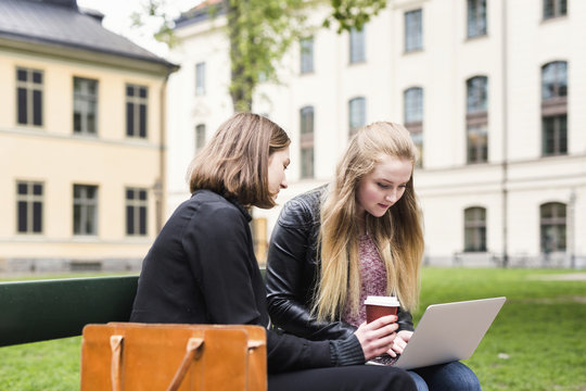 Two students (16-17) sitting in schoolyard with laptop and disposable coffee cup