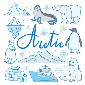 Arctic hand drawn illustrations. Vector arctic set: north animals, iceberg, mountains, ship