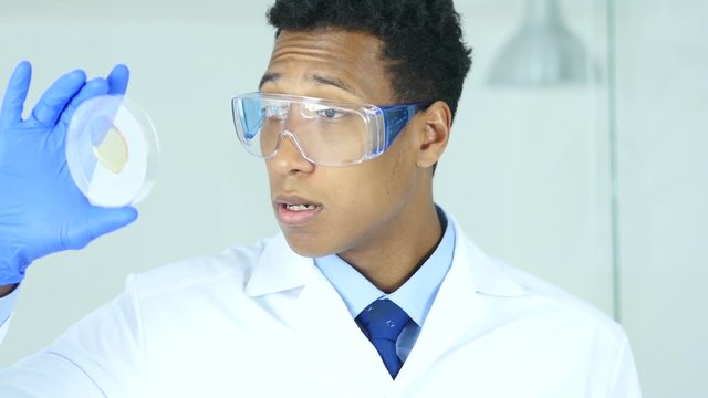 Medical Scientist Studying Reaction in Watch Glass in Laboratory