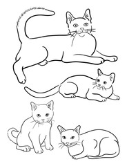 Cats line 07 on a white background, vector. Good use for symbol, logo, web icon, mascot, sign, or any design you want.