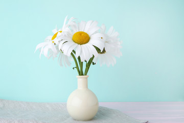 Bouquet of chamomile flowers in vase on mint background