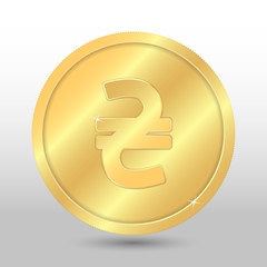 Realistic gold coin with hryvnia sign. Vector coin on gray background