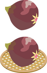 秋果物（イチジク）