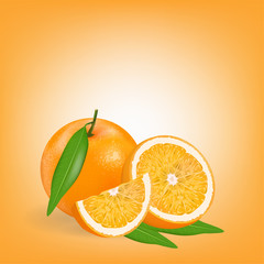 Fresh Orange whole and slices of oranges and leaf isolated on orange background. Vector illustration.