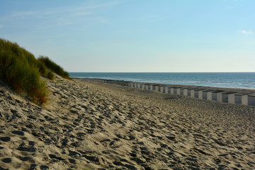 Strandkabinen und Strandhafer in den Dünen an der Nordseeküste, in den Niederlande auf Zeeland