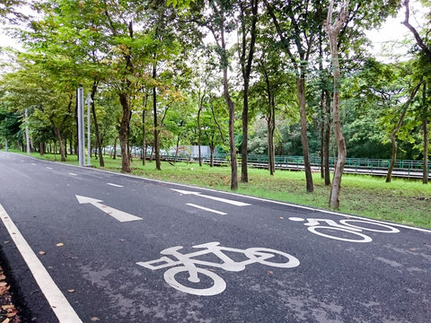 Bike lanes in the park