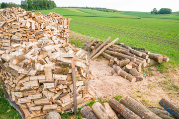 Logs in a metal grid cage on a lumber yard in a springtime field environment.