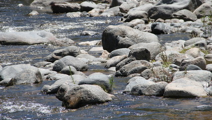 mountain stream and stones in summer