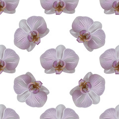 Tender orchid flower seamless pattern. Orchid blooms isolated on white background