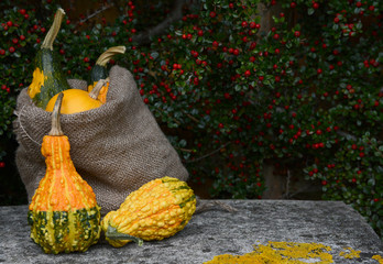 Burlap sack of ornamental gourds and warty squashes