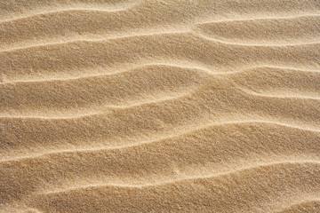 fondo de arena de playa