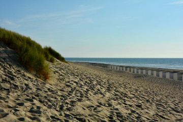 Strandkabinen und  Strandhafer in den Dünen an der Nordseeküste, in den Niederlande auf Zeeland