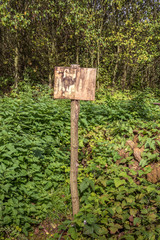 Empty wooden sign in forest.