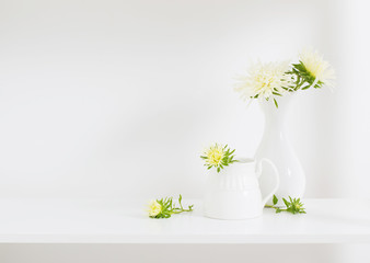 yellow asters on white background