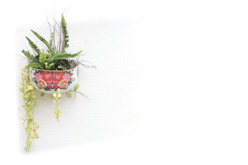 bouquet tree branches white background