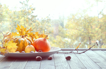 Pumpkins and yellow oak leaves on the window board on a rainy day in Fall, space