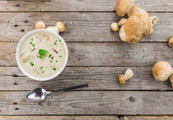 Fresh made Porcini Soup on a rustic background