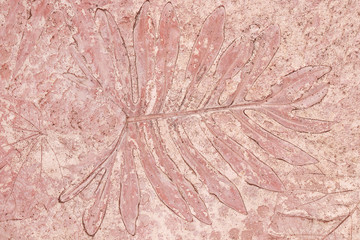 marks of leaf on the concrete, leaf background.