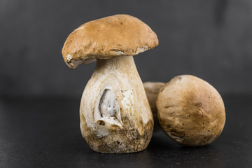 Porcinis on a vintage background (close-up shot)