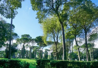 Park at the Villa Borghese