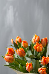 Beautiful orange and yellow tulips on gray wall. Flower background. Warm colors. copy space