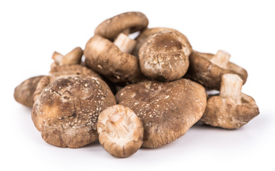 Shiitake mushrooms isolated on white