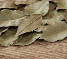 dry bay leaf on an old wooden board