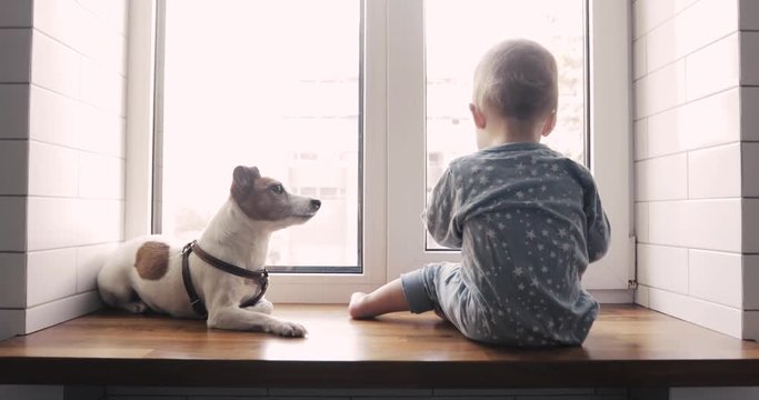 Baby boy and the dog looking out the window