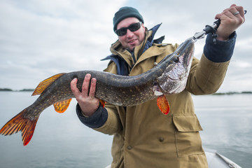 Amateur angler holds big pike fish (Esox lucius) weight of fish is 4.6 kg (10 lb)