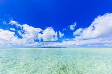 コンドイビーチ
