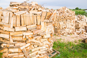Close up of logs in a metal grid cage with a chopping block on a lumber yard