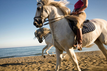 Two women riding horses on beach