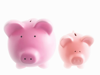 Piggy banks on white