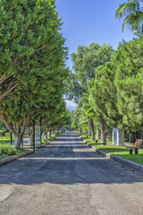 Road among green trees in the Beach park. Antalya, Turkey