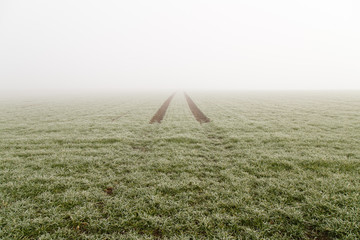 grünes feld im nebel mit spur von fahrzeug, horizont verschwindet, winter