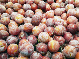 fruit plum red