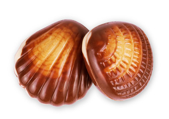 chocolate seashells on white background