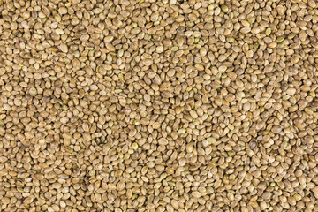 background of healthy hemp seeds with shells