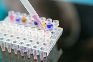 Young female technician in genetic laboratory with PCR