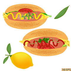 Hot dog. Delicious hot dog with ketchup. Tasty hot dog with sausage, cheese, tomato, lettuce, parsley. Fast food. Vector illustration.