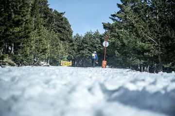 Nieve