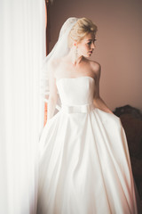 Fototapeta premium Portrait of beautiful bride with fashion veil at wedding morning
