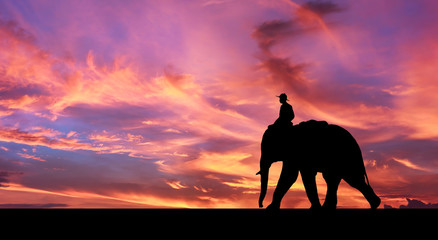 Mahout ride elephant. - 176249524