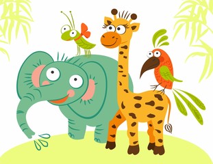 Animal elephant giraffe parrot insect beetle