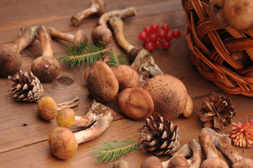 autumn still life mushrooms on a table