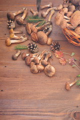 autumn still life mushrooms on a table