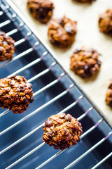 Homemade Tasty Baked Chocolate Chip Oatmeal Cookies on Metal Cooling Rack, Close-up Vertical View