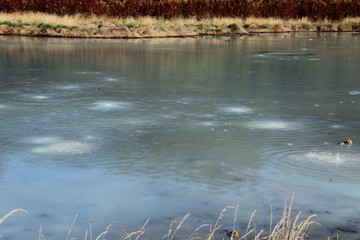 Laghetto della solforata di Pomezia
