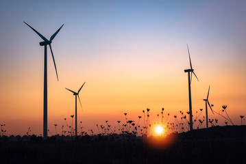 Obraz premium Windpark bei Sonnenuntergang