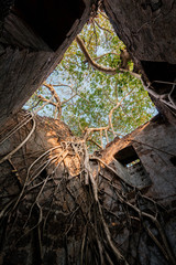 Obraz premium Redi fort (Yashwantgad Fort). India, Maharashtra.